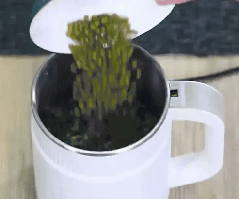 RAF – Electric Grinder (300W, 500ml, Stainless Blades)